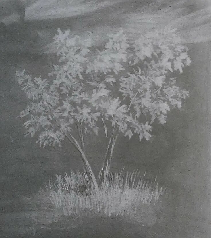 Тонкий ластик для художников. Рисование с клячкой. Рисование ластиком. Рисование с помощью клячки. Дерево нетрадиционной техникой.