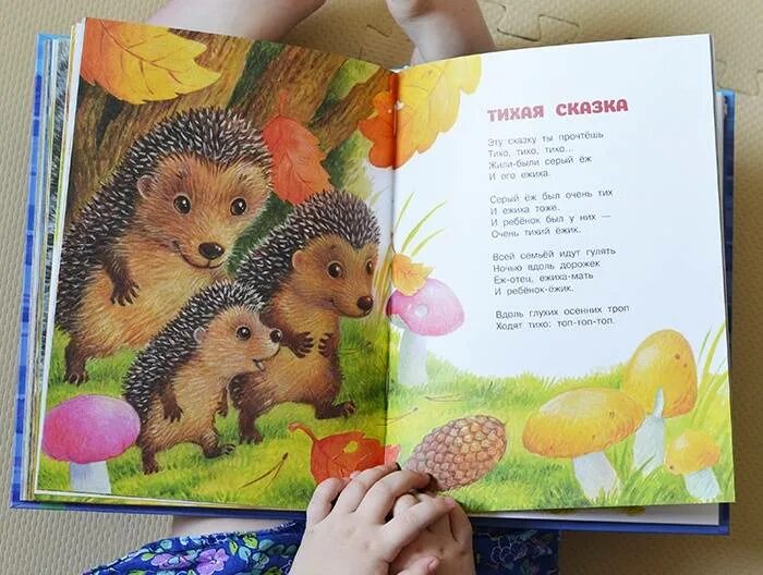 Маршак с. Тихая сказка маршак иллюстрации. Сказка маршака тихая сказка. Обложка тихая сказка. Тихая сказка маршак иллюстрации.