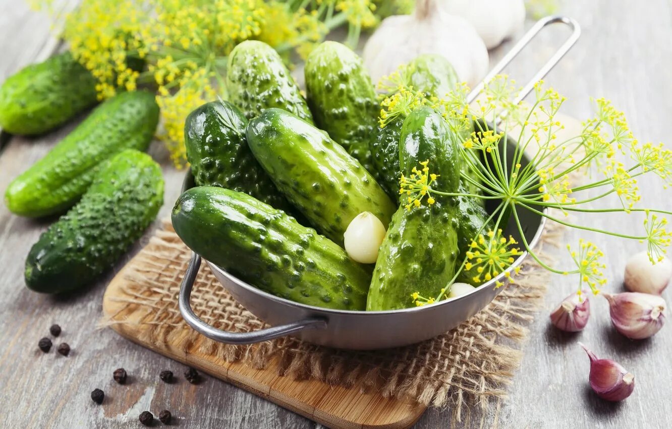 Vegetables and cucumber. Холынский огурец. Малосольные огурцы. Малосольные огурчики. Овощи огурец.