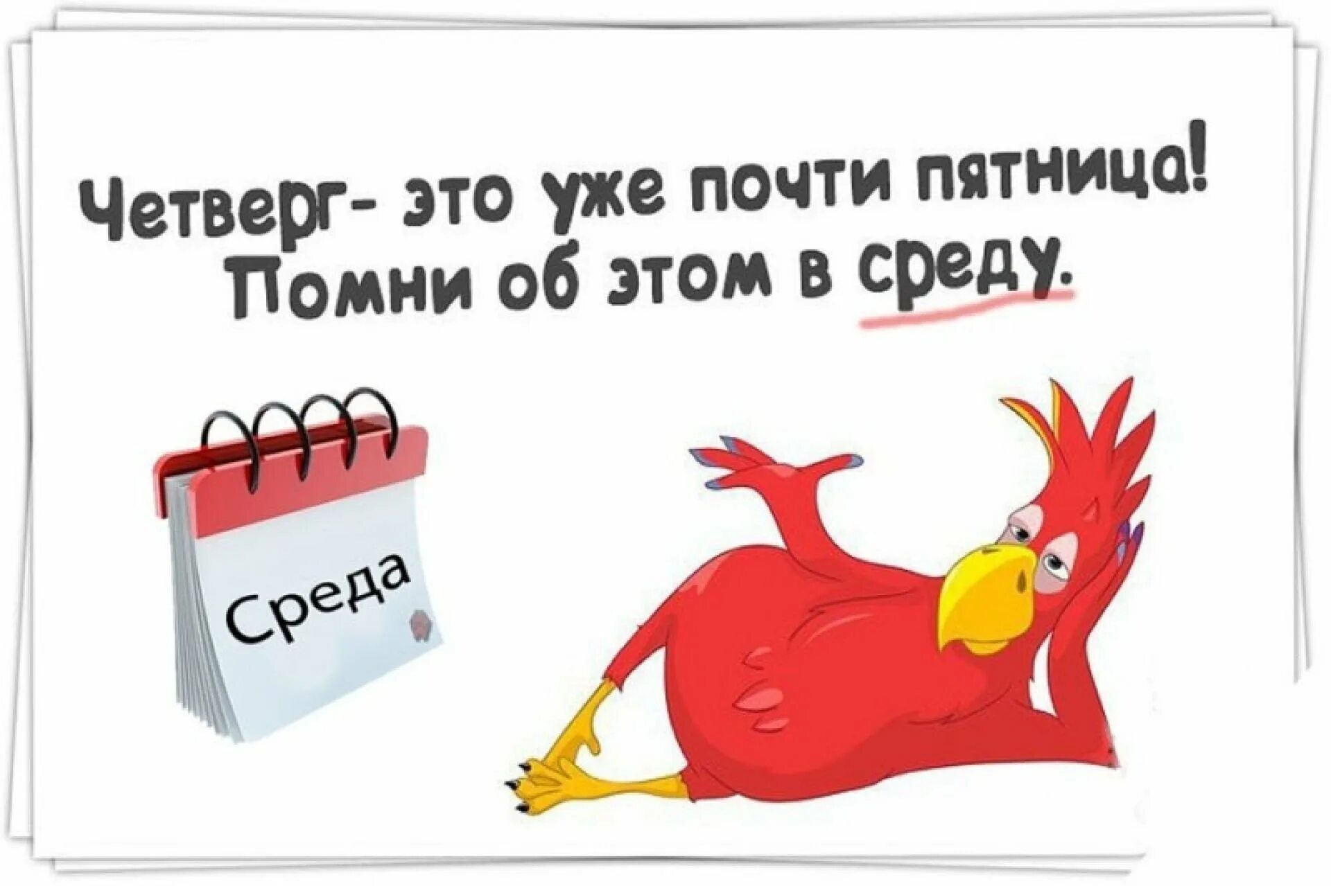 Среда тоже. Среда приколы. Шутки про среду. Открытки со средой прикольные. Статусы про среду.