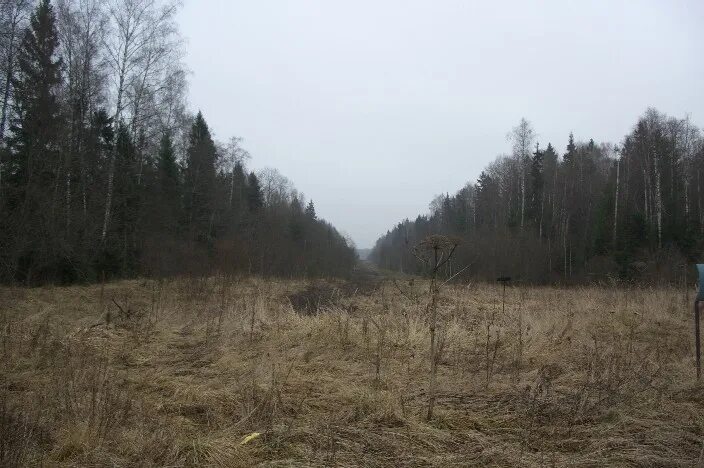 Кладбище ассаурово. Икша ассаурово 43. Деревня ассаурово. Икша ассаурово 43. Маршрут автобуса 43 дмитров ассаурово.