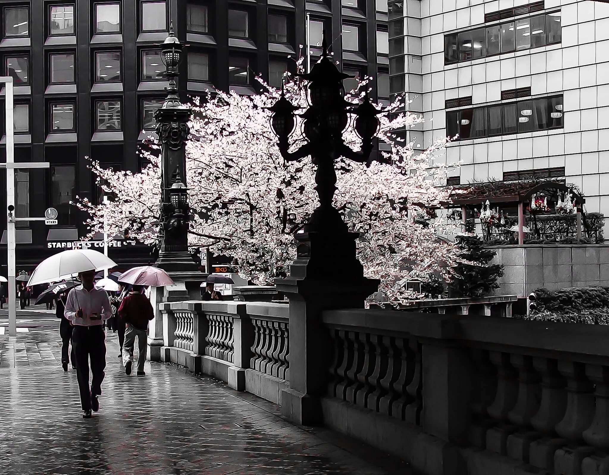 Играть в черно белый японский. Япония чб. Черно белая Япония. Дождливый Вечерний Токио весной. Монохромный город.