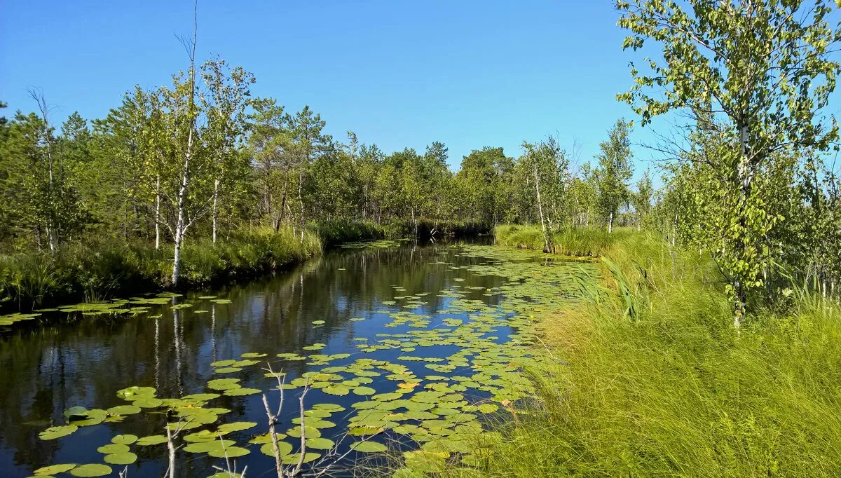 протоки озера