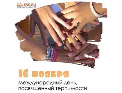 16 ноября