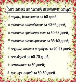 Огород приметы