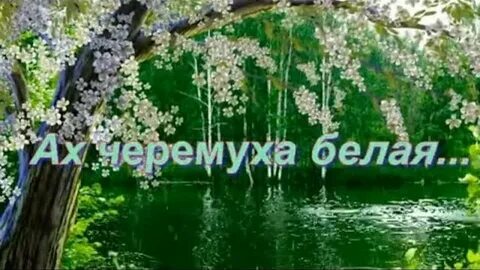 Песни ах черемуха