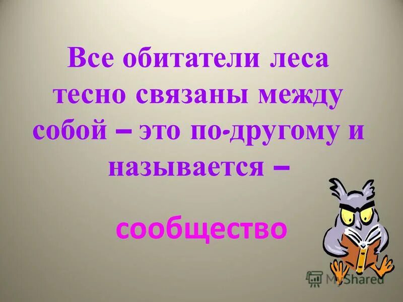 как обитатели леса связаны между собой 4. как обитатели леса связаны между собой. схема цепей питания организмов. как обитатели леса связаны между собой. как обитатели леса связаны между собой кратко.