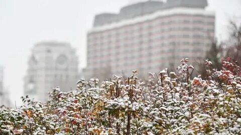 Погода в москве 14 февраля 2024 года
