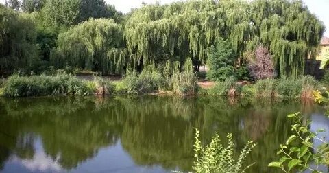 Кривой край