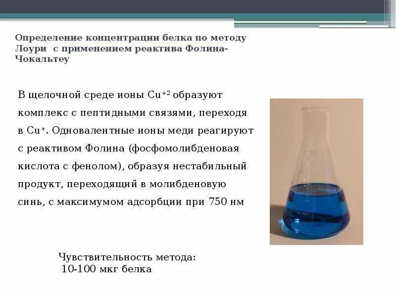 Метод лоури. Количественное определение белков. Количественное определение белка. Методы количественного определения белков. Методы определения белка.