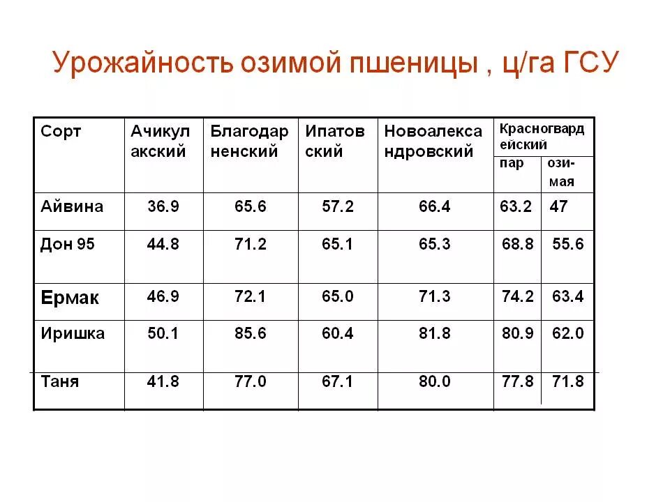 Какова урожайность пшеницы