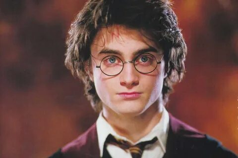 Фото potter