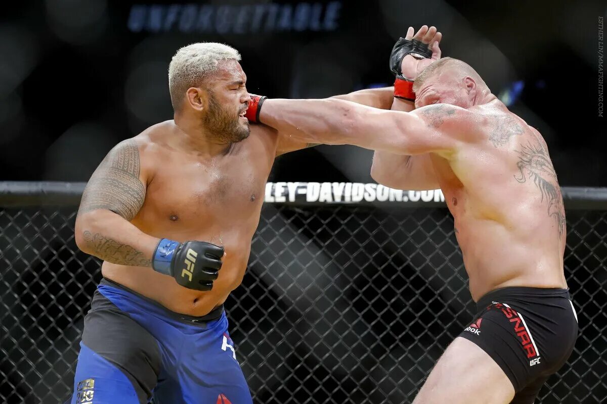 Тяжеловесы мма. Мэтт митрион рой нельсон. Марк хант брок леснар бой. Алистар оверим качок. Тяжеловесы мма.