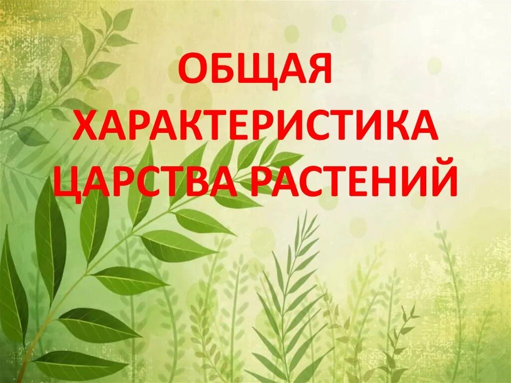 Характеристика царства растений. Характеристика царства растений