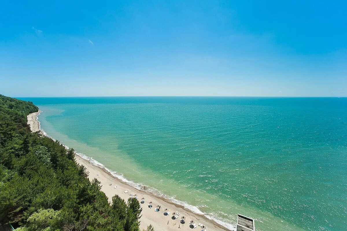 Абхазия гагры море. Абхазия пицунда 2023. Абхазия новый афон море пляж. Реликтовая роща в пицунде. Пляж абхазии мыс пицунда.