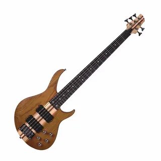 Guitar 5