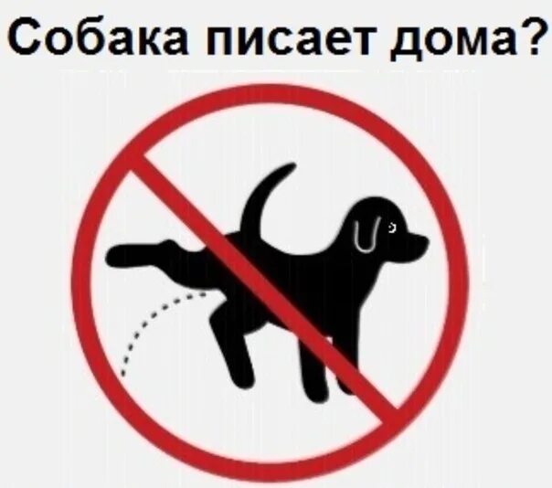 Дом для собаки. Почему собака не писает. Табличка писающая собака. Почему собака не писает. Собака метит.