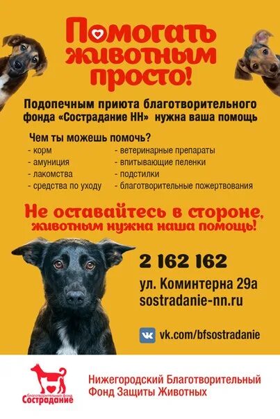 Объявление для приюта животных. Ящик для благотворительности животным. Ящик для благотворительности животным. Спонсоры перевели пожертвования на счет приюта. Спонсоры перевели пожертвования на счет приюта.