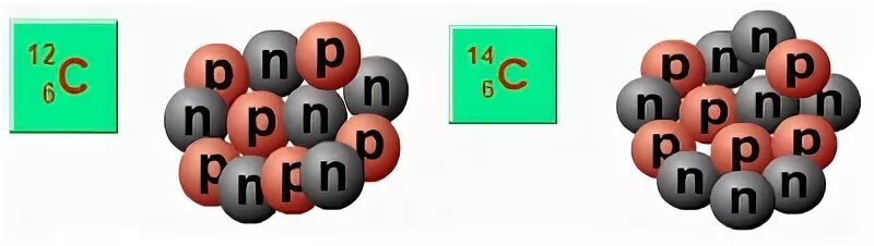 Стабильные изотопы углерода. Изотоп углерода 16с. Состав изотопа углерода 6 протонов. Состав изотопа углерода 12 и углерода 13.