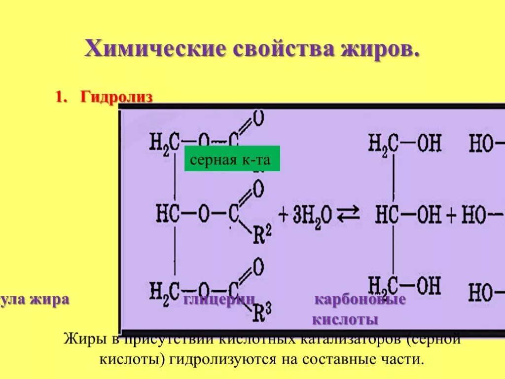 Гидролиз этилового эфира в присутствии кислоты. Химические свойства жиров. Кислотный гидролиз жира. Гидролиз серной кислоты. Жиры химические свойства гидролиз.