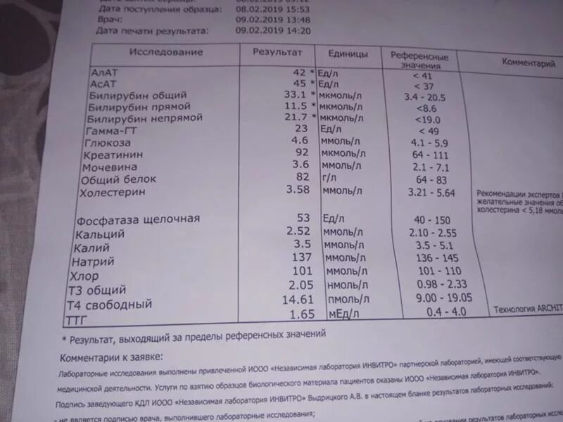 Анализ крови при заболевании печени. Норма алат и АСАТ В крови. Повышены алат АСАТ И билирубин. Алат анализ крови что это. Алат АСАТ билирубин норма.