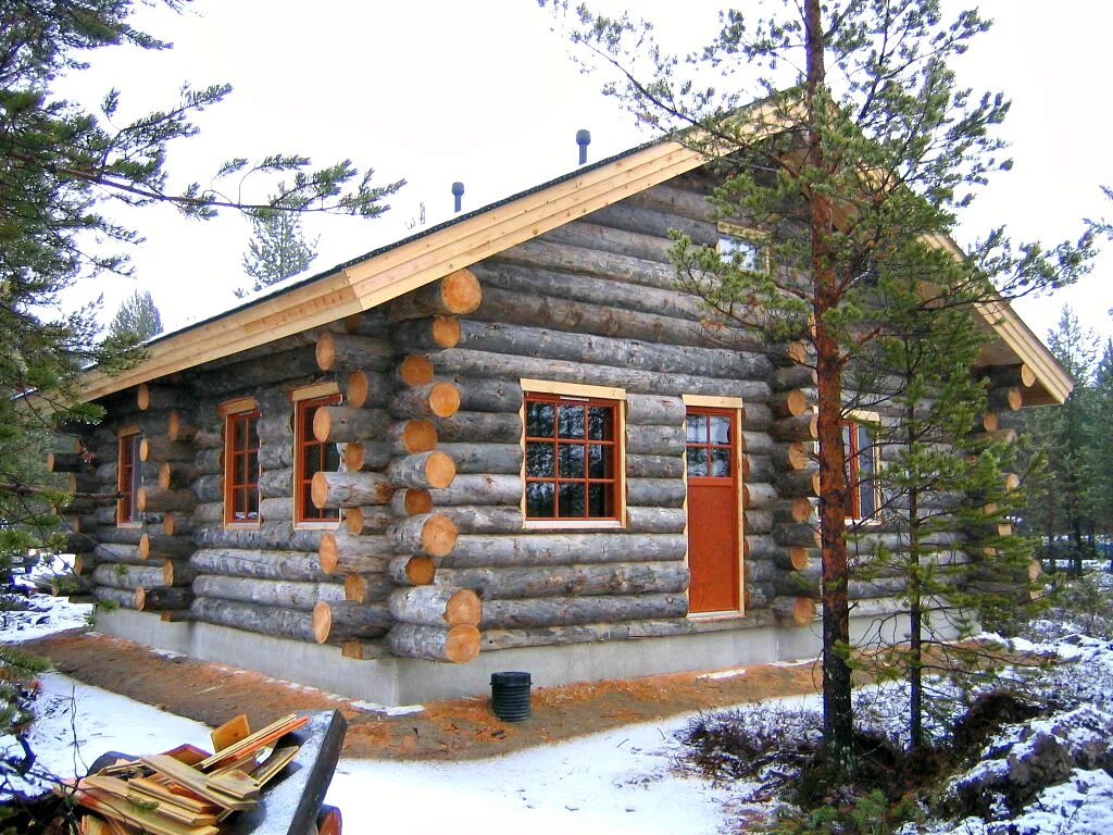 карельской сухостойной сосны кело. сухарник кело. кело сосна. кело сосна. карельская сосна кело.