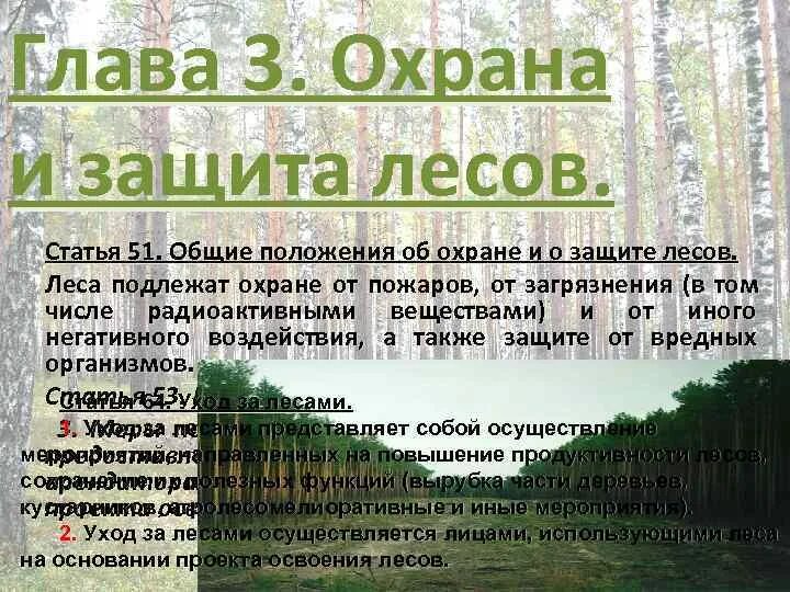 Лесное законодательство рф. Защита лесов. Охрана и защита леса. Охрана лесов. Меры по охране и защите лесов.