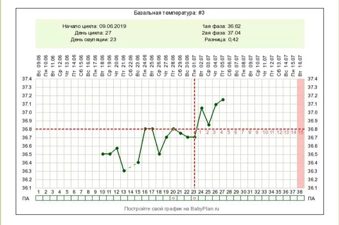 График базальной температуры с поздней овуляцией. График базальной температуры при поздней овуляции и беременности. Беременный график БТ С поздней овуляцией. Поздняя овуляция на графике БТ. Овуляция пришла позже