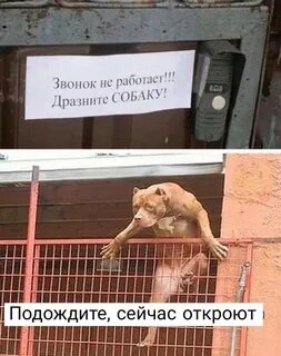 Подожди теперь