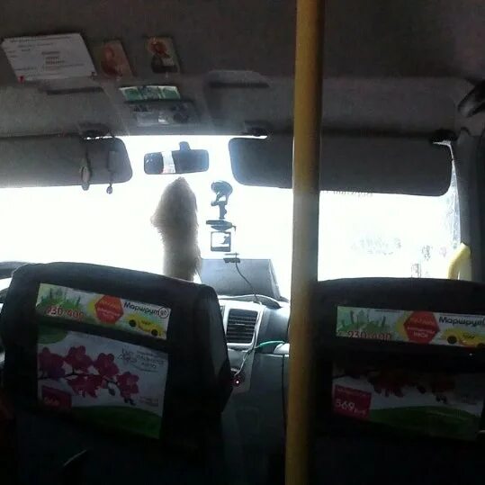 144 автобус маршрут. Маршрутка 144. автобус 144 барнаул. автобус 144 экспресс. остановки 144 маршрутки рыбное.