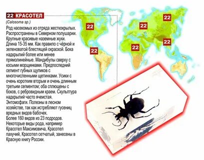 Распространение насекомых