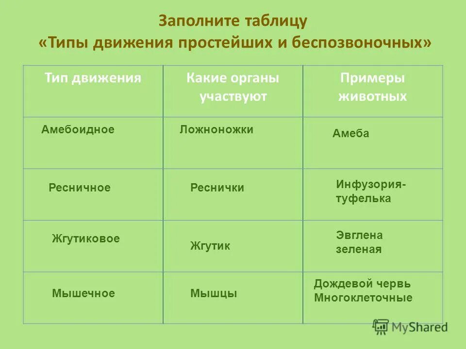 Типы передвижения животных. Способы передвижения животных таблица. Типы движения биология 6 класс таблица. Таблица по биологии способы передвижения. Подвижная тела у беспозвоночных