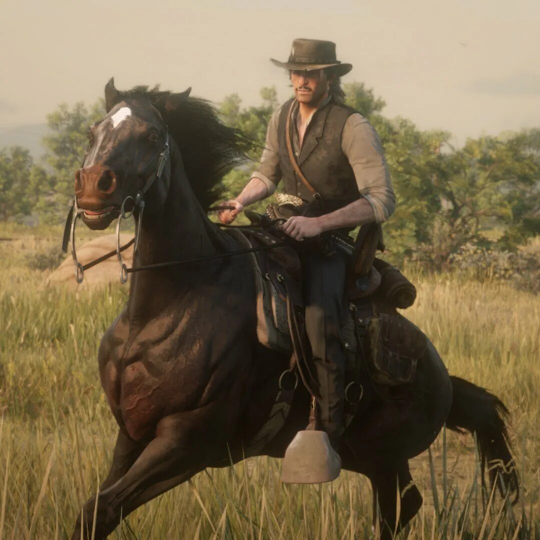 Red Dead Redemption 2. Мак Red Dead Redemption 2. E Red Dead Redemption 2. New Bordeaux Red Dead Redemption 2.