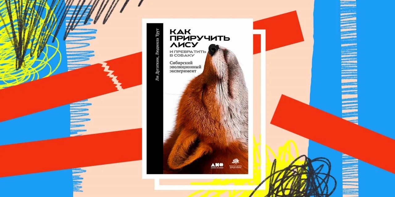 Как приручить лис. Как приручить лису. как приручить лису книга. как приручить лису и превратить в собаку. как приручить лису и превратить в собаку книга.