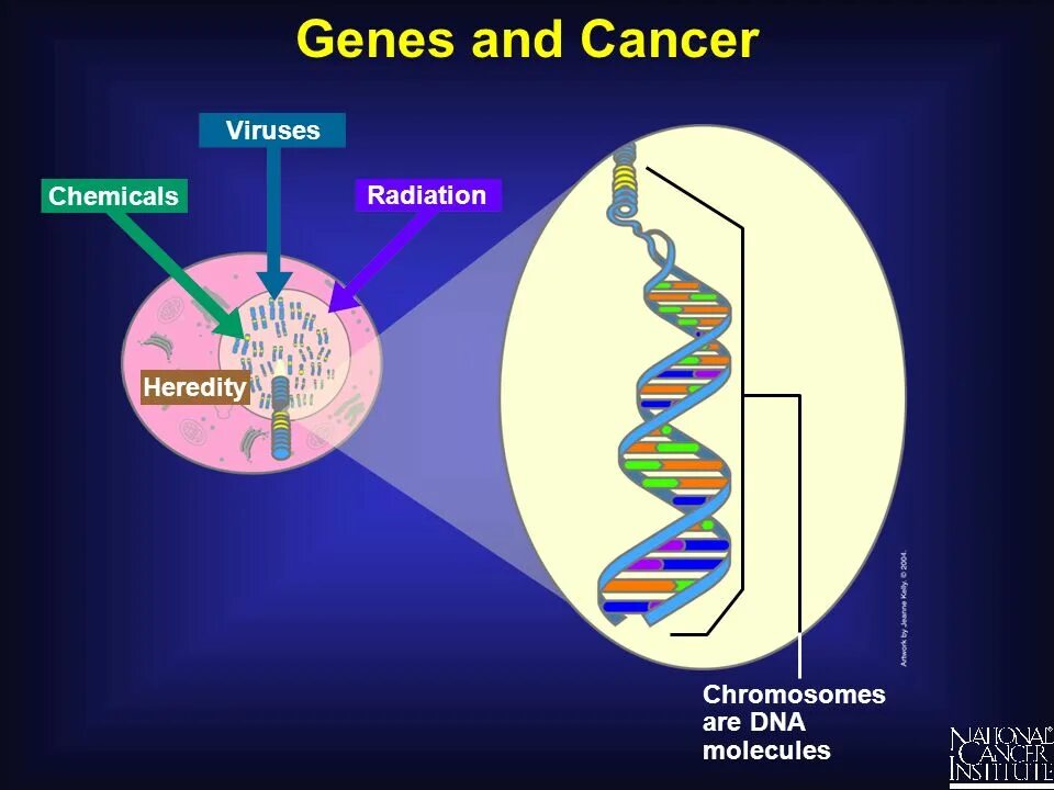 Соединение в днк клетки. Cancer вирус. Cancer Gene. Gene la om.