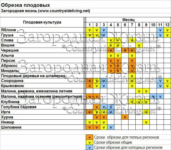 Обрезка плодовых деревьев лунный календарь 2025. Таблица прививок плодовых деревьев. таблица обрезки плодовых деревьев и кустарников. таблица обрезки плодовых деревьев. таблица: календарь обрезки плодовых деревьев:.