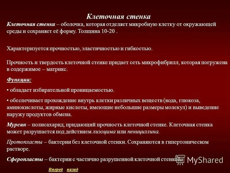 культура рубежа 19-20 веков. искусство 20 века доклад. как архитектура характеризует человека. Xx в характеризуется. избирательное право в россии история.