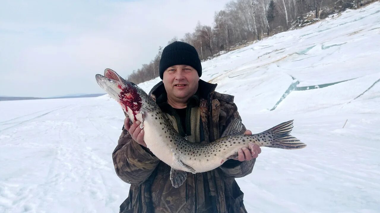 Рыбалка на бурейском водохранилище. Щука талакан. Талакан бурейское водохранилище. Поселок талакан амурская область. Рыбалка талакан.
