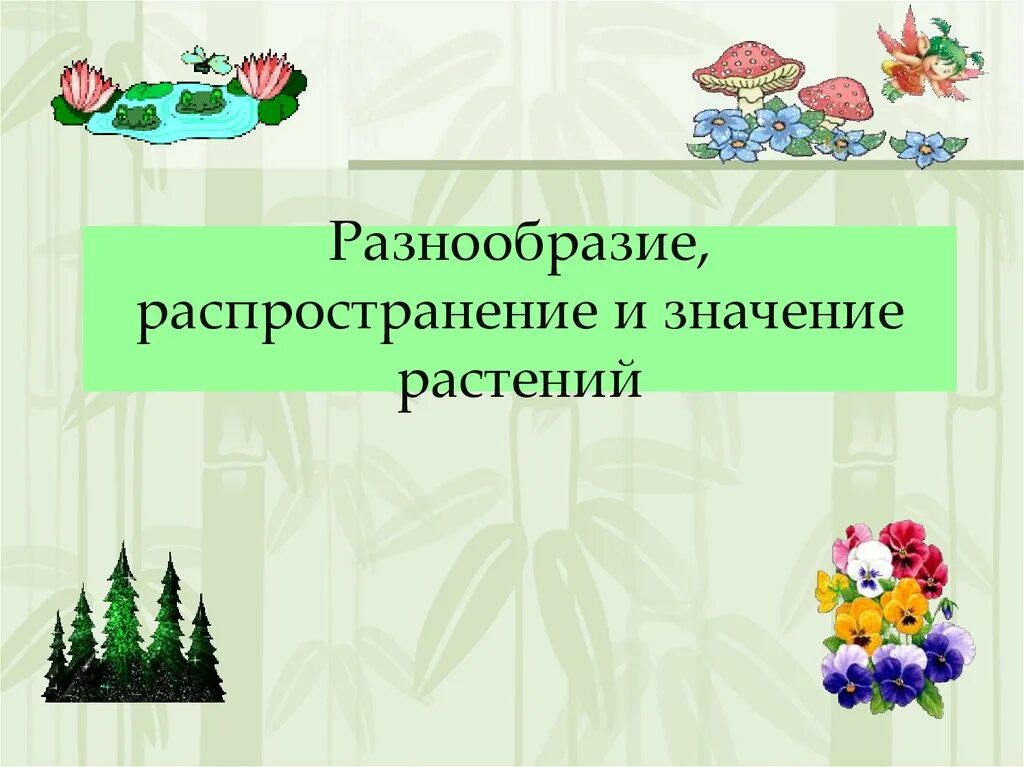 Растения распространение разнообразие. Разнообразие и значение растений. многообразие и распространение растений. разнообразие и распространение растений 5 класс. проект на тему разнообразие распространение, значение растений.