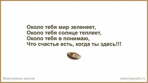 Слова песни перепутала