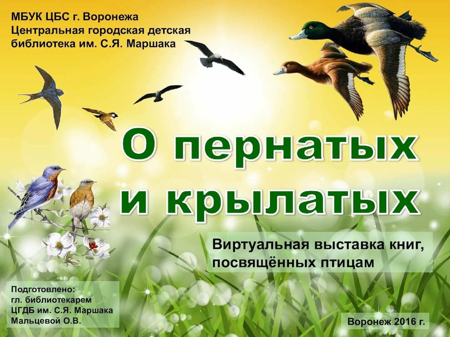 Мероприятие посвященное дню птиц. Название выставки про птиц. Выставка ко Дню птиц. Выставка книг о птицах. День птиц.