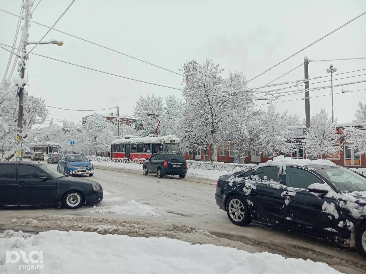 Краснодар закрыли дороги. Снегопад в Краснодаре. Снегопад в Краснодарском крае. Краснодар зимой. Сугробы в Краснодаре.
