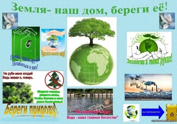 Земля отцов земля детей
