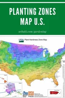 Plants map