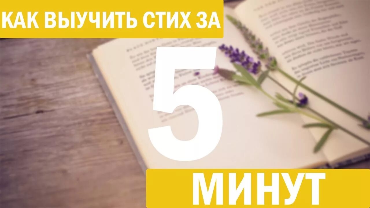 C за 5 минут. Как быстро выучить стих. Как выучить стих за 5 минут. Как быстро выучить стих за 5 минут. Как быстро выучить стих наизусть за 5 минут.