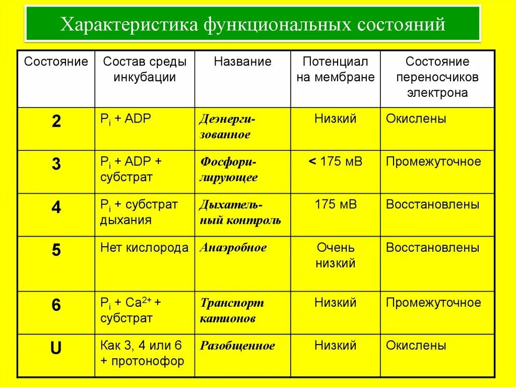 Классы функциональных состояний. Классификация функциональных состояний. Функциональное состояние. Общая характеристика функциональных состояний. Классификация состояний человека