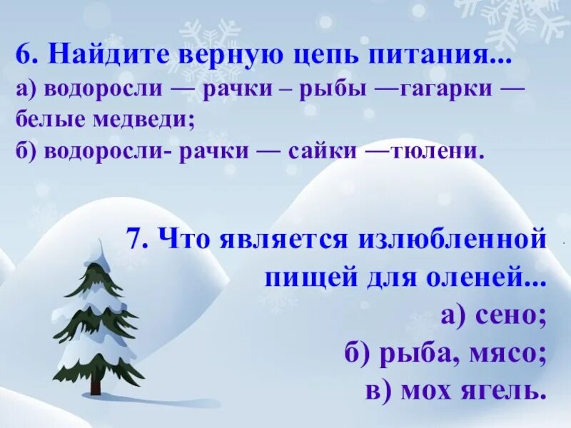 Водоросли рачки рыбы. Найди верную цепь питания водоросли рачки рыбы гагарки белый медведь. цепочка питания водоросли рачки. пищевая цепь водоросли рачки. цепь питания водоросли рачки рыбы.