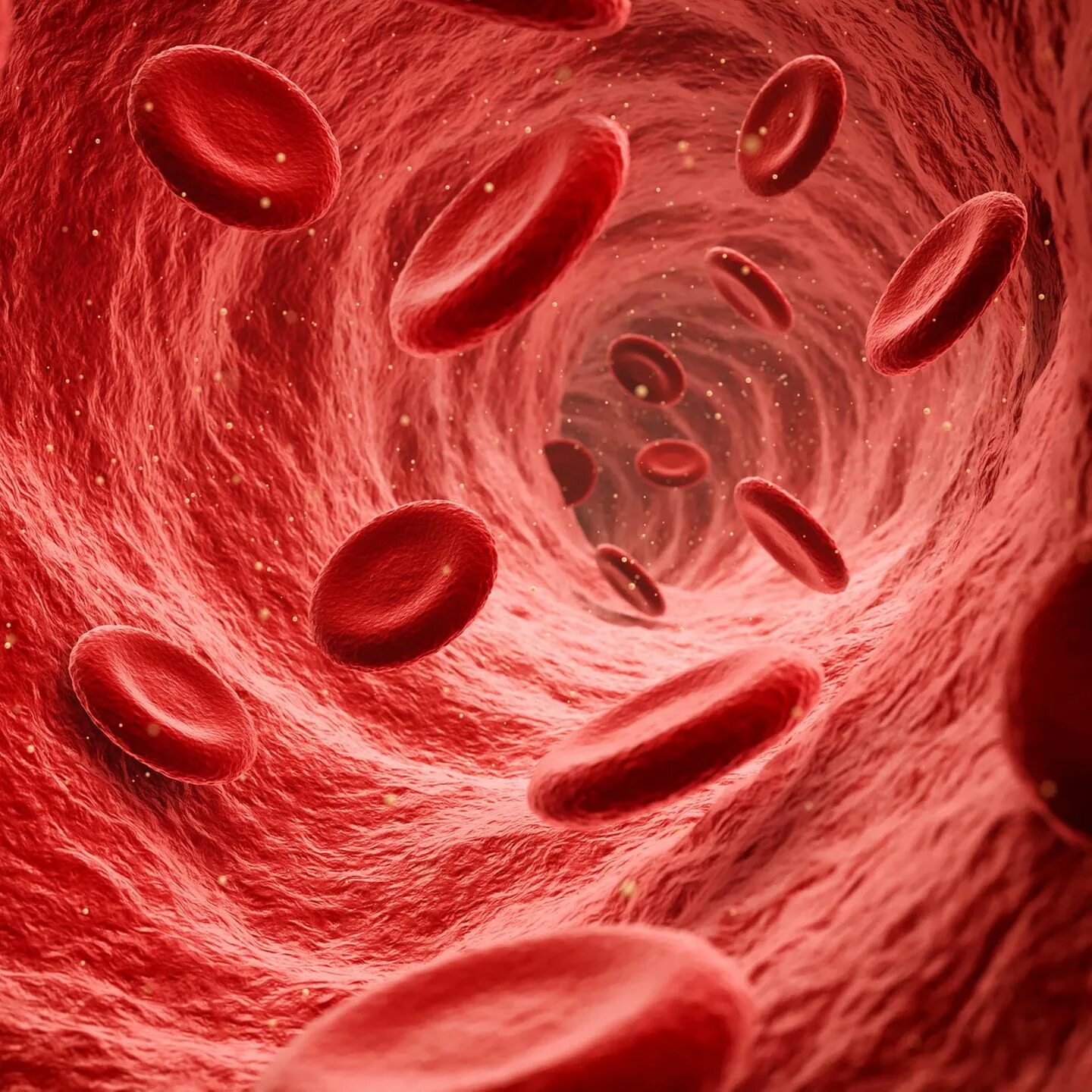 Kan d. Kan d. Blood bag 450ml. Кровь медицина. Kan d.