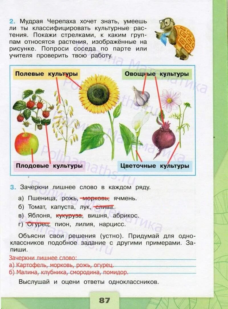 Рабочая тетрадь по окружающему четвертый класс плешаков. Окружающий мир рабочая тетрадь 4 школа России Плешаков. Окружающий мир 4 класс Плешаков рабочая тетрадь школа России. Окружающий мир 4 класс Плешаков тетрадь. Окружающий мир 4 класс рабочая тет.