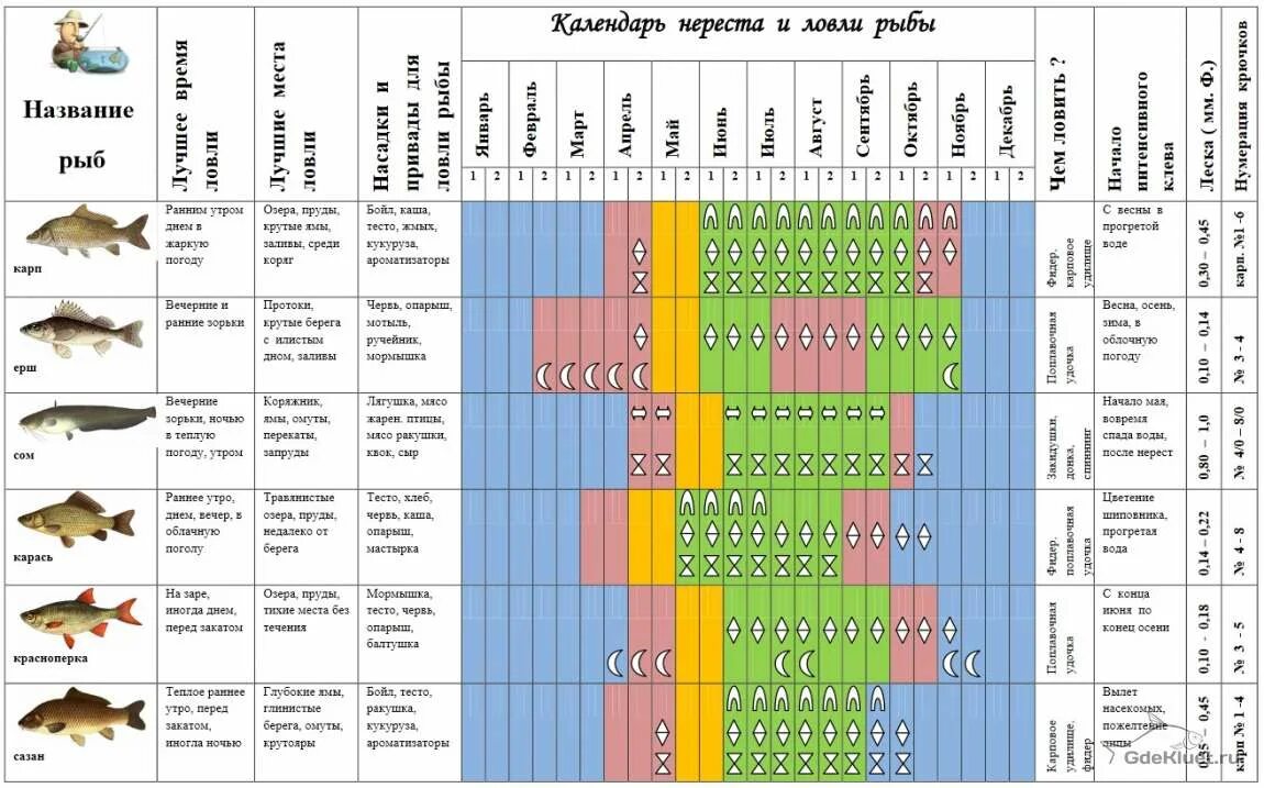 Календарь клева рыбы на 2024г